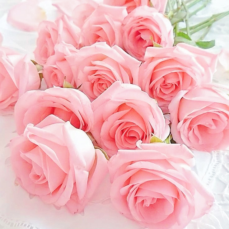 スピと言霊の星