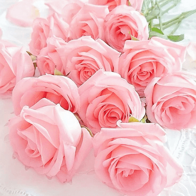 スピと言霊の星