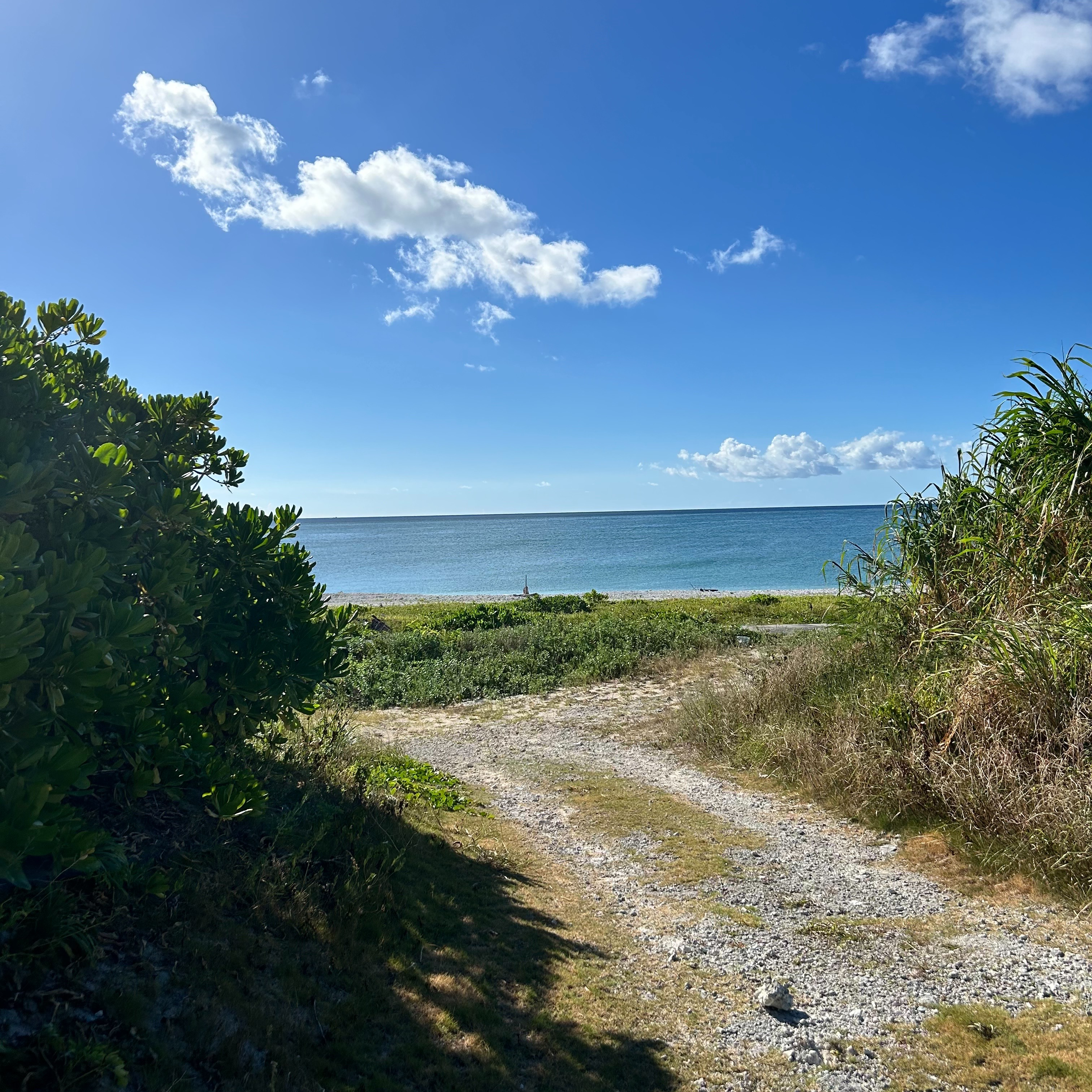 大阪市淀川区の星