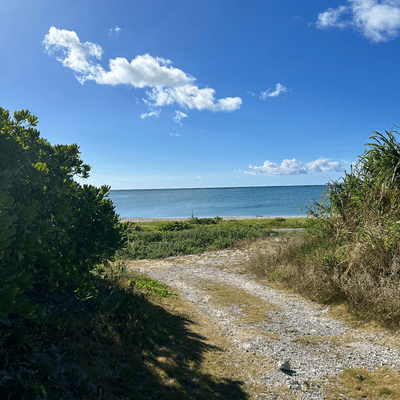 大阪市淀川区の星