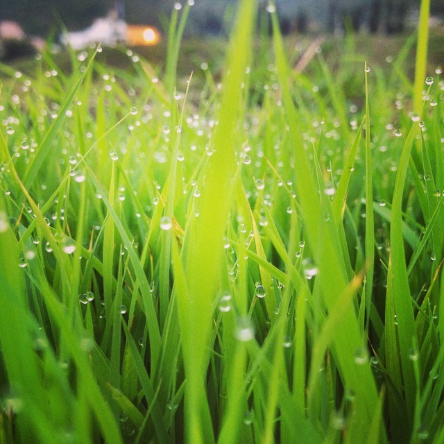 40代50代独身の星