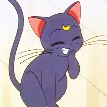 愛玩動物看護師の星