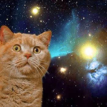 人類には早すぎたの星