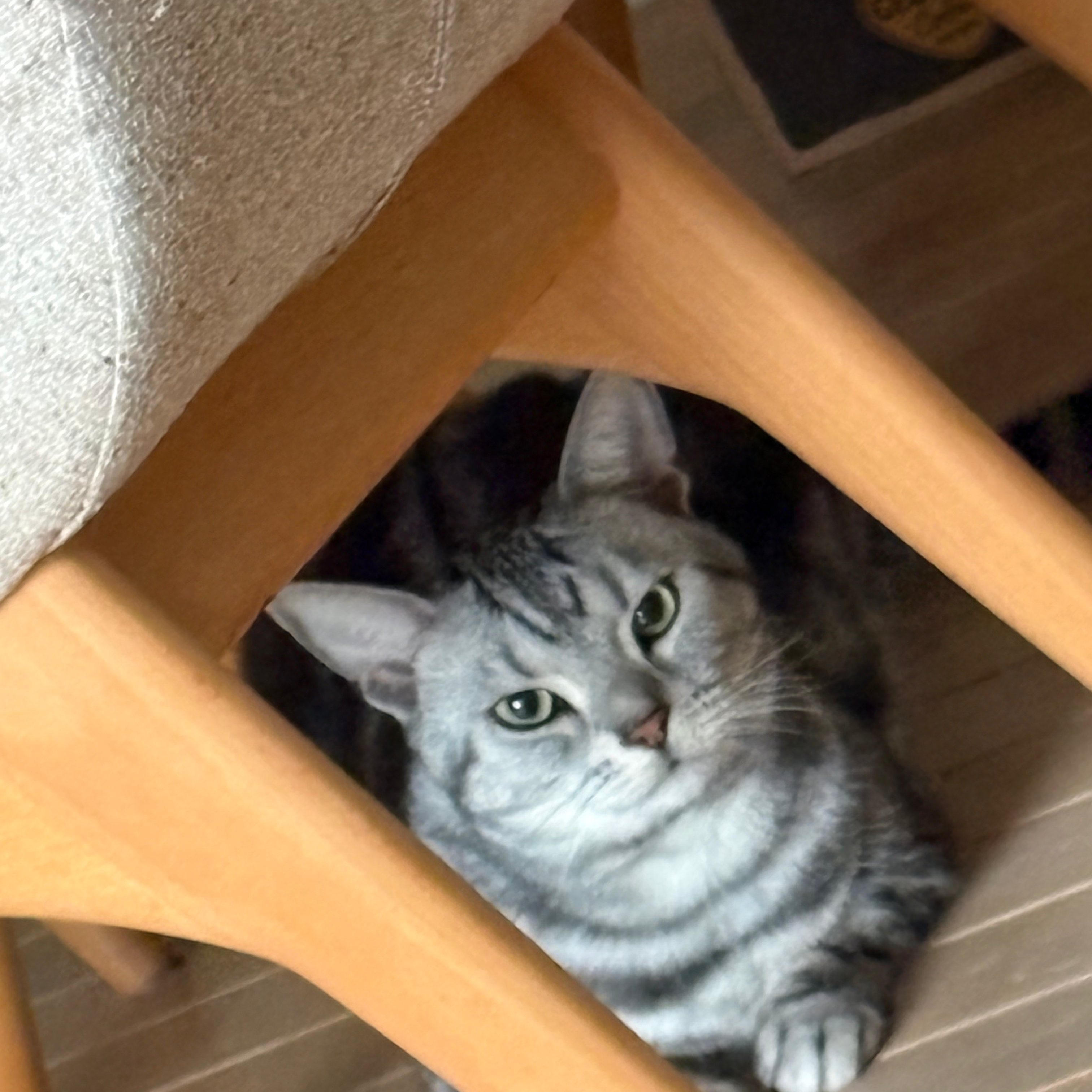 山ドライブの星