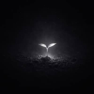 双葉の哲学の星