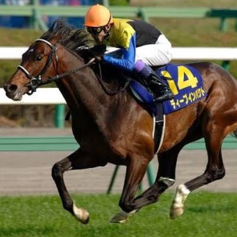 競馬を楽しむ星