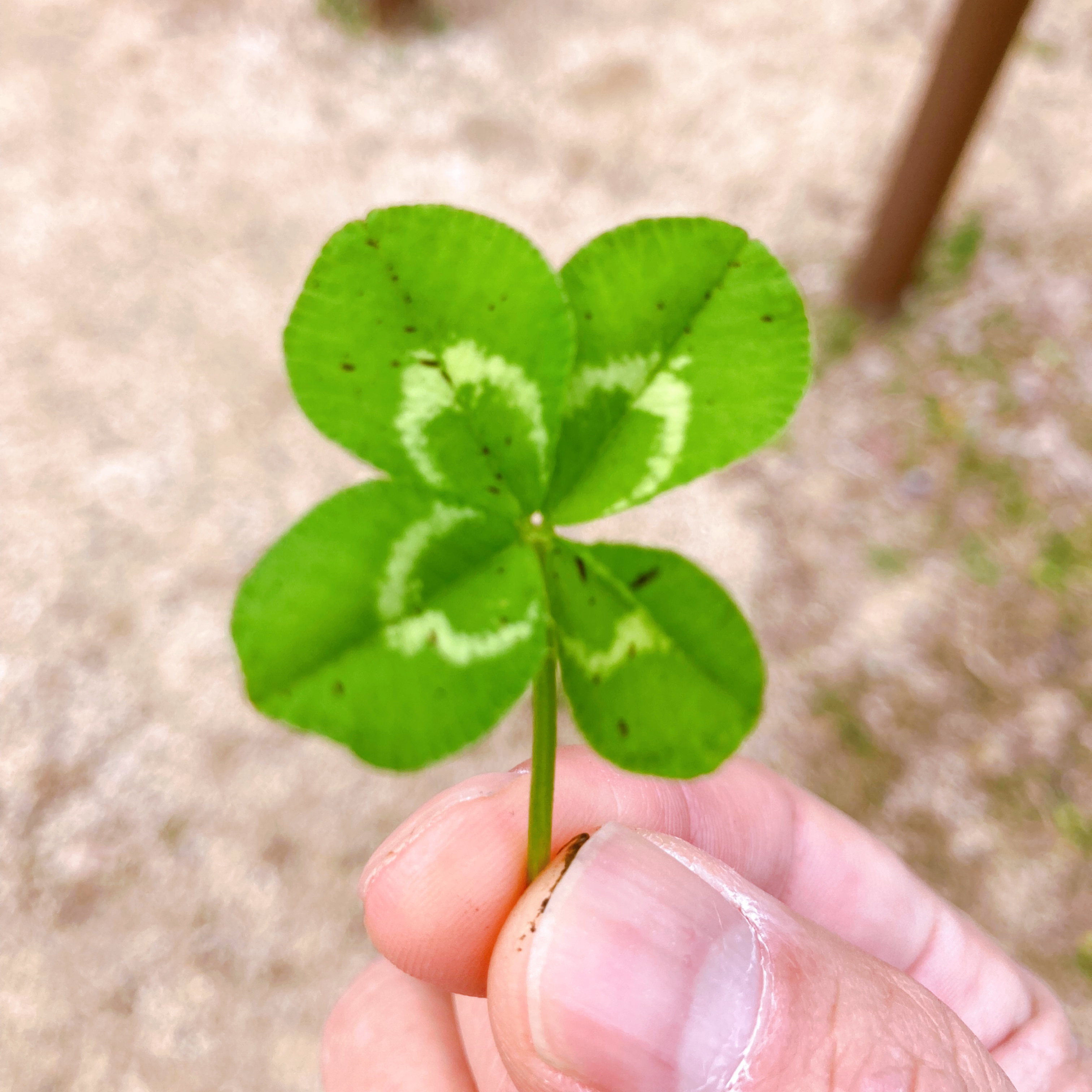 気持ちのゴミ箱