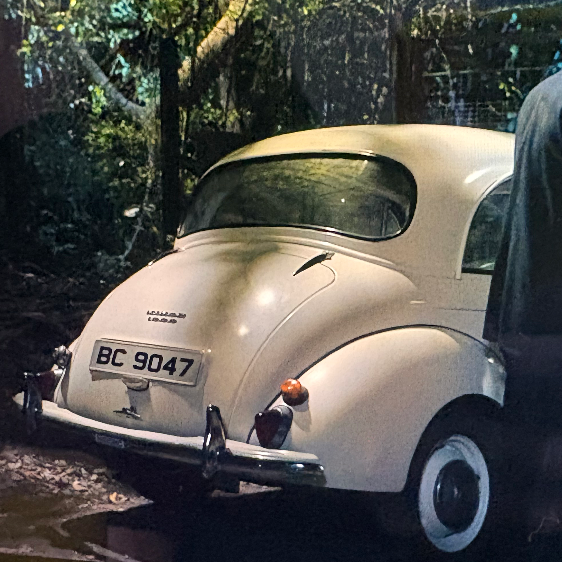 クラシックカーの星