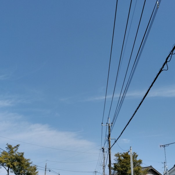 猫と犬大好きな人の星