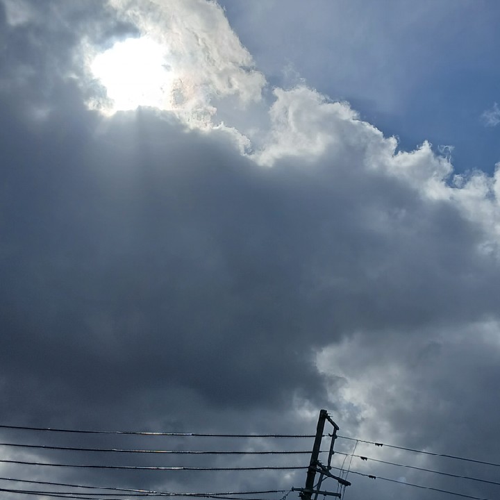 狂ってる生態の星