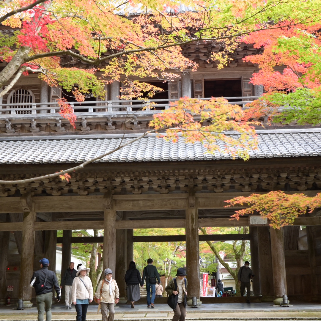 ゆるフォト散歩の星