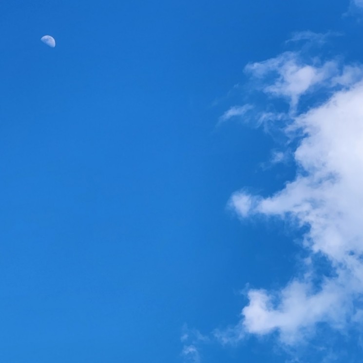 23区外主に立川の星