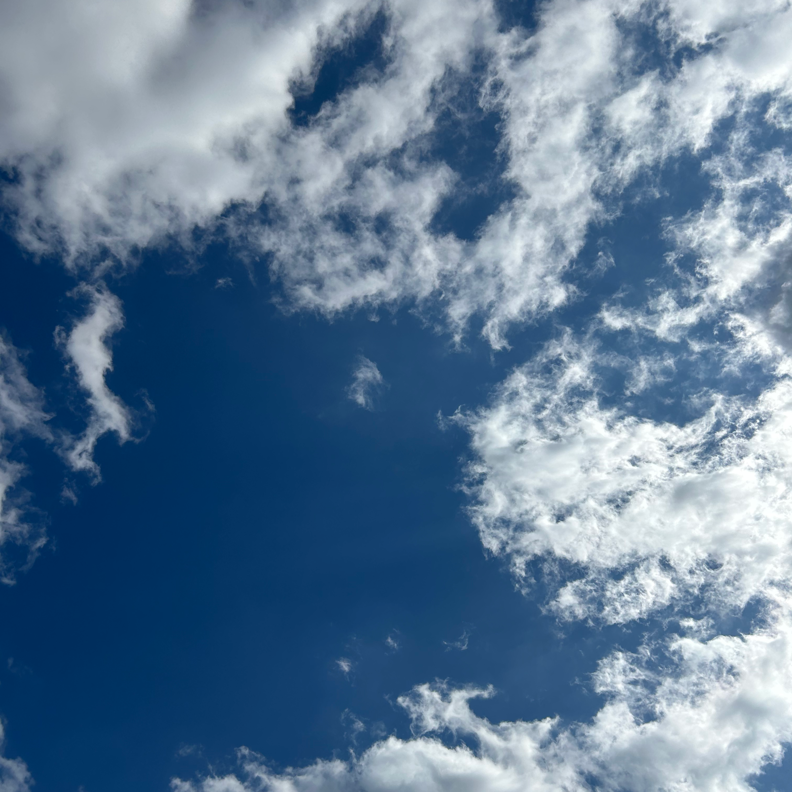 澄みきる空の星