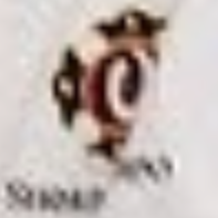 少林寺拳法好きの星