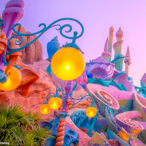 カウシェの集まりの星