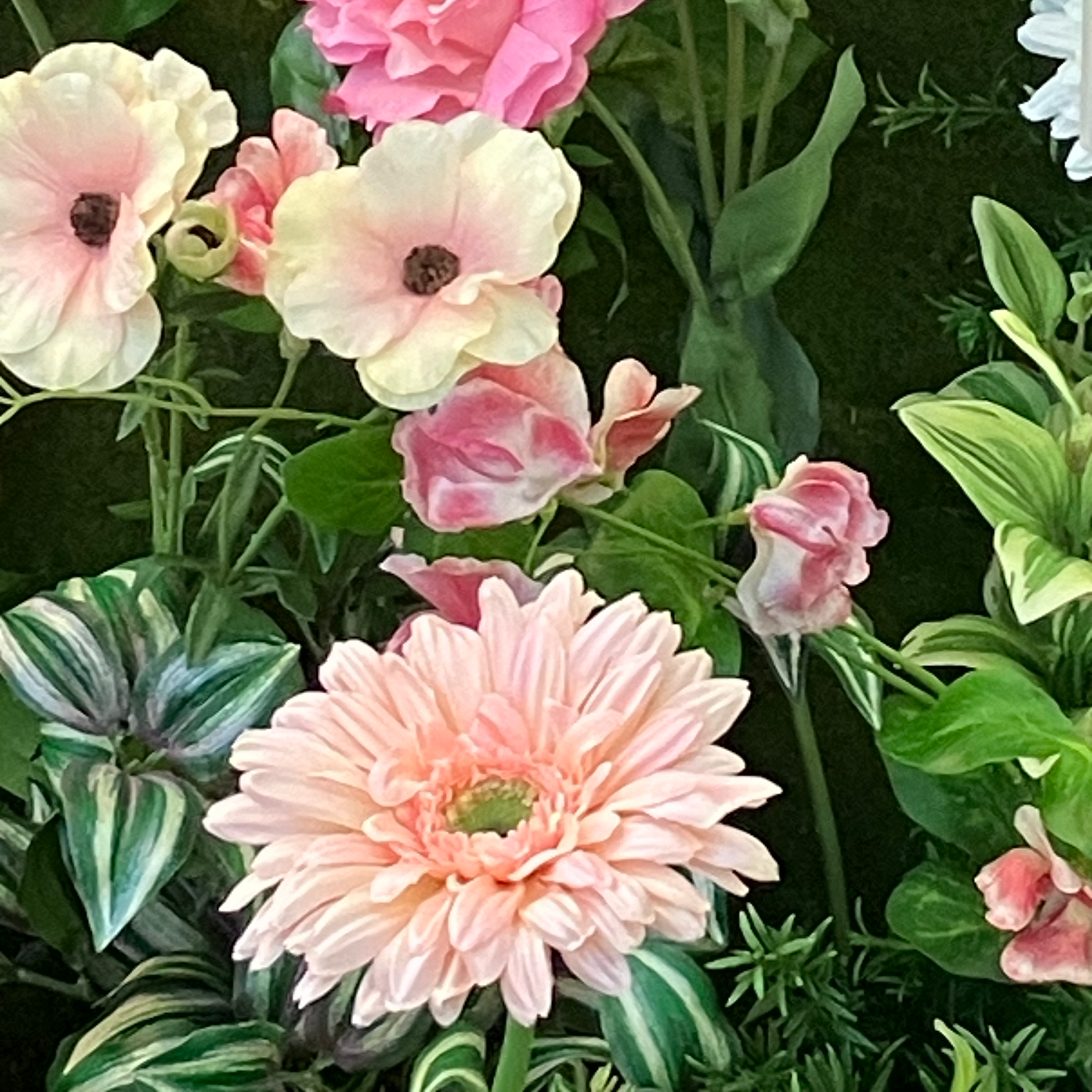 ゆるり美富部の星