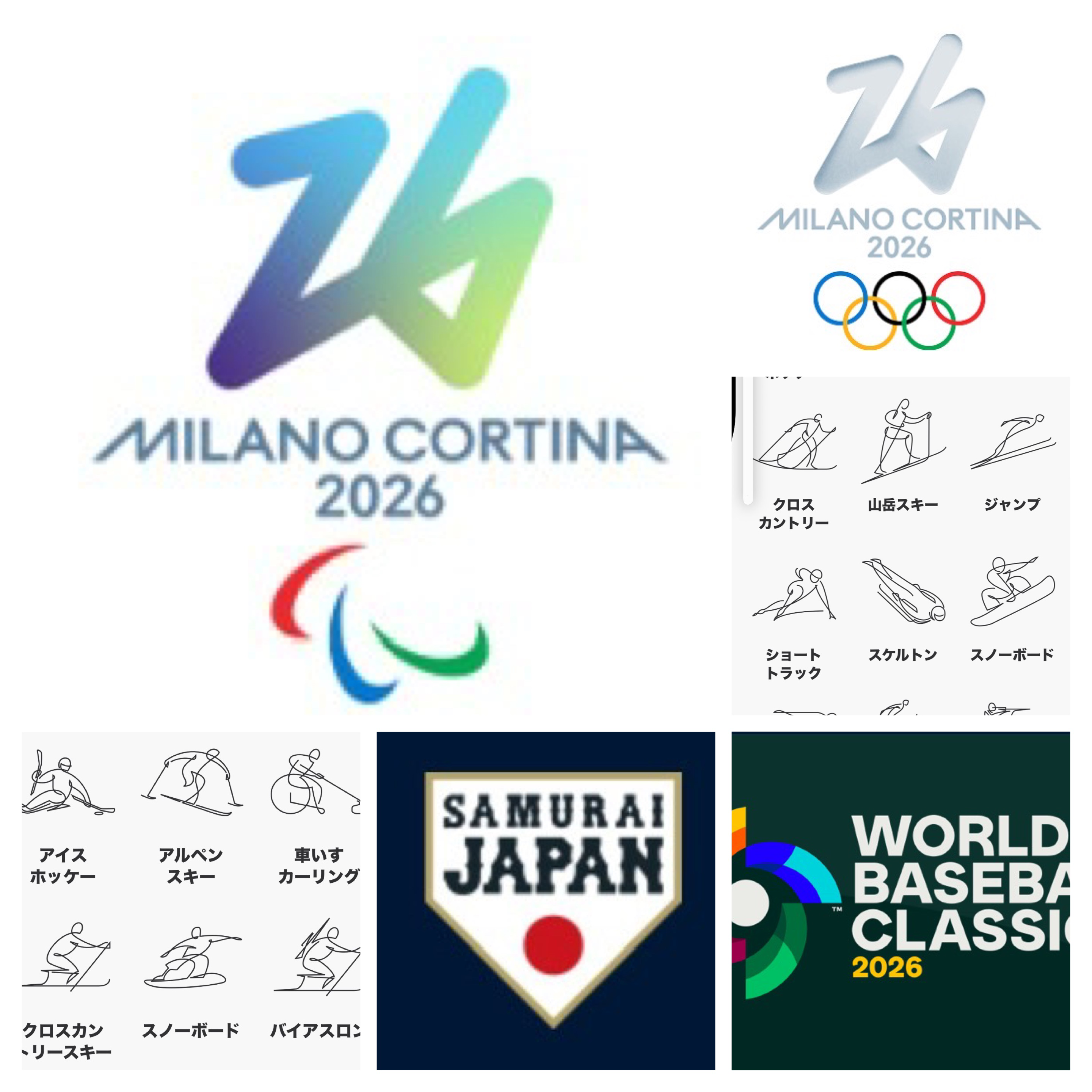 日本応援団の星