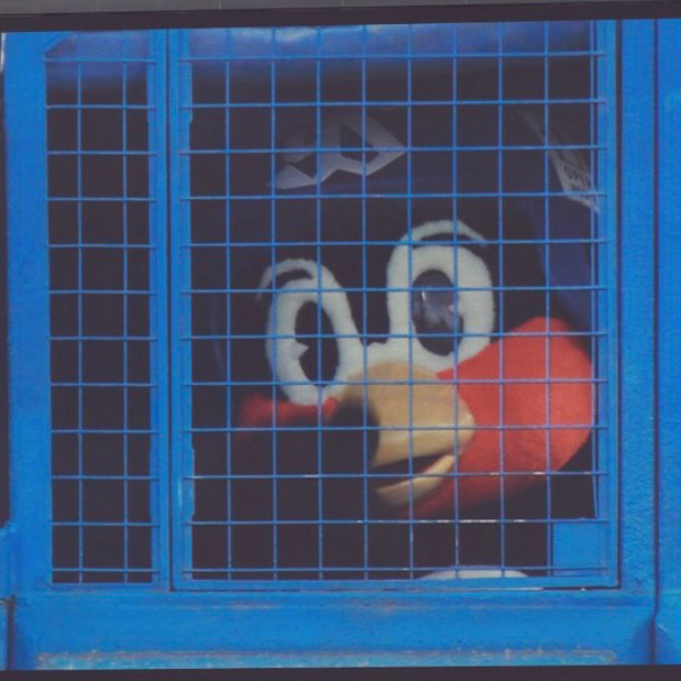 ヤクルトスワローズ星