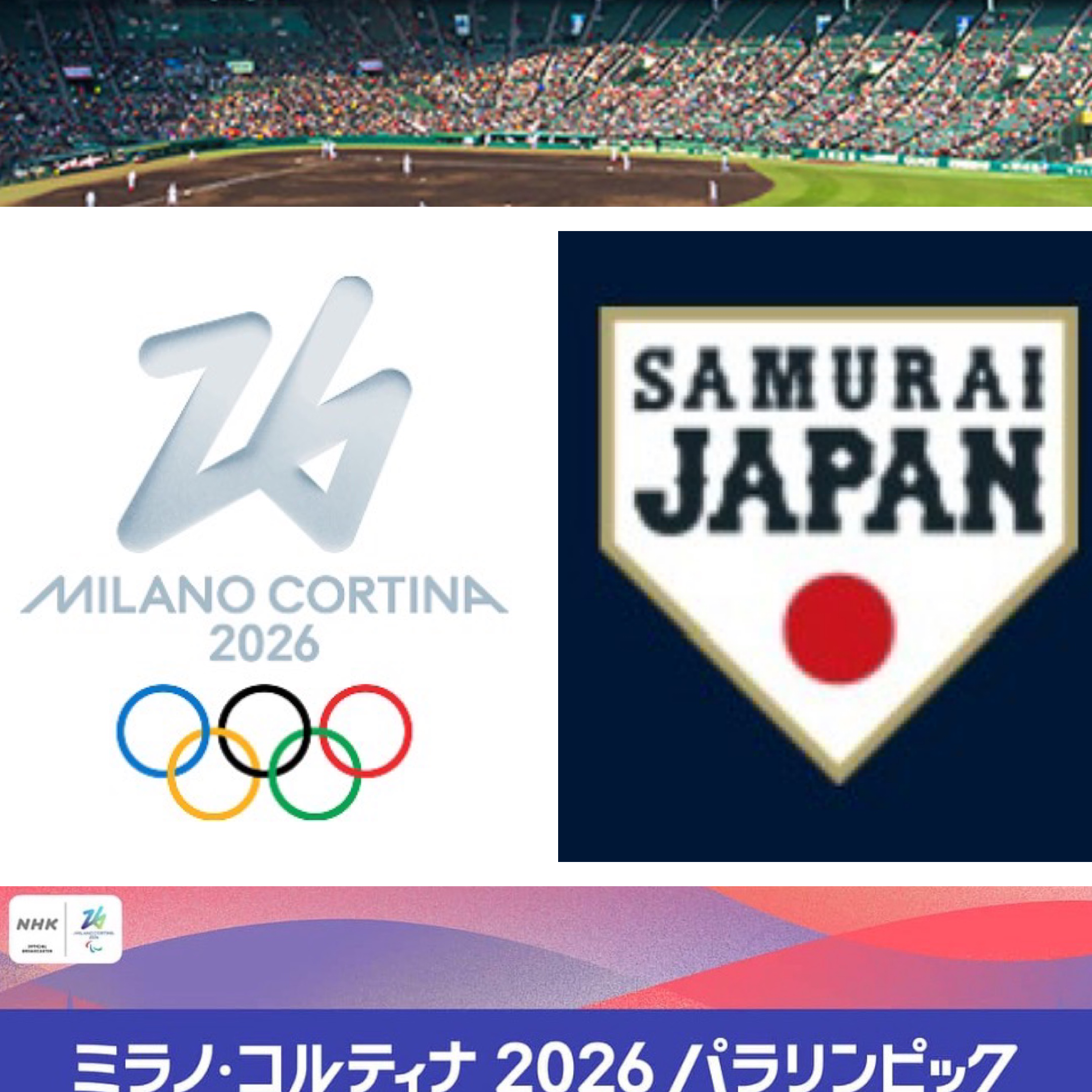 日本応援団の星