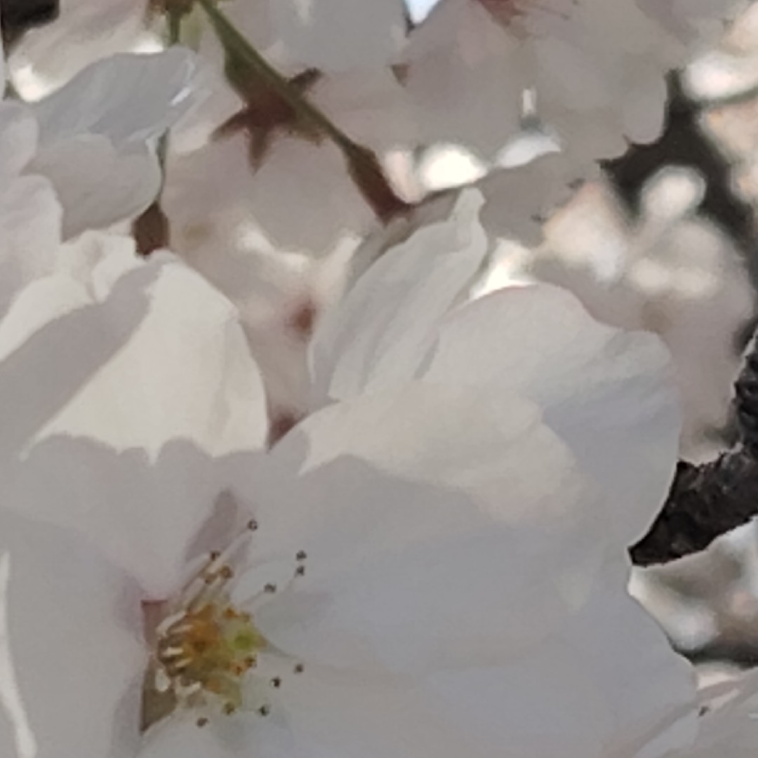 学校生活共有の星