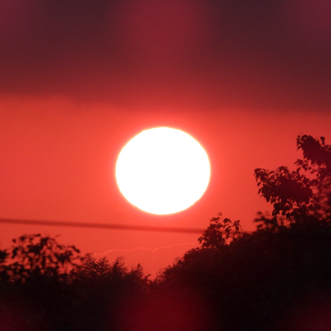 綺麗な夕日が見える星