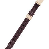 リコーダーの星の星