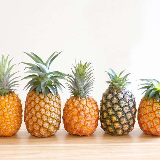 パイナップル好きの星