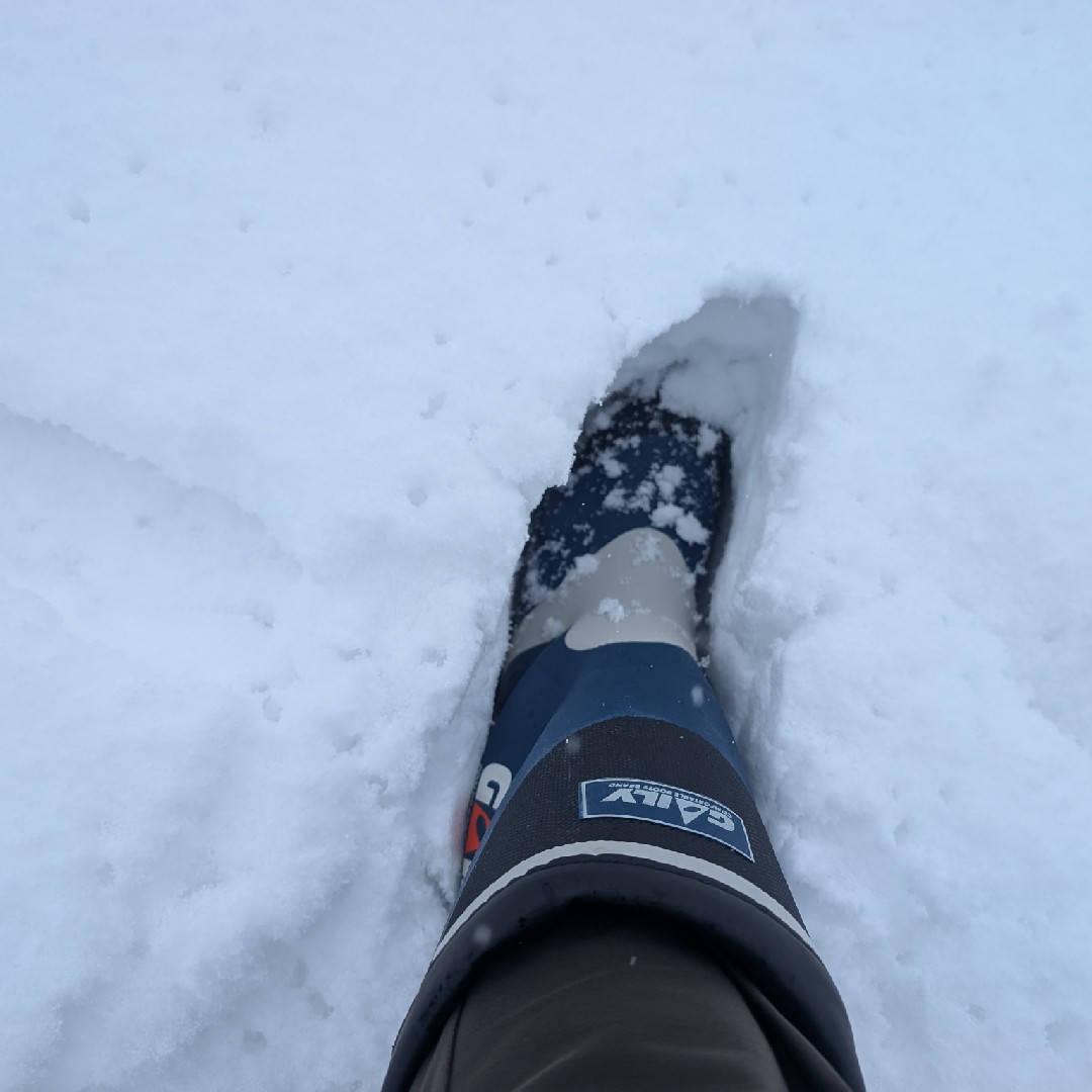 それだけですの星