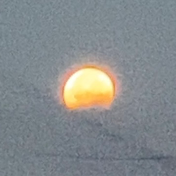 まぁべつにいいかの星