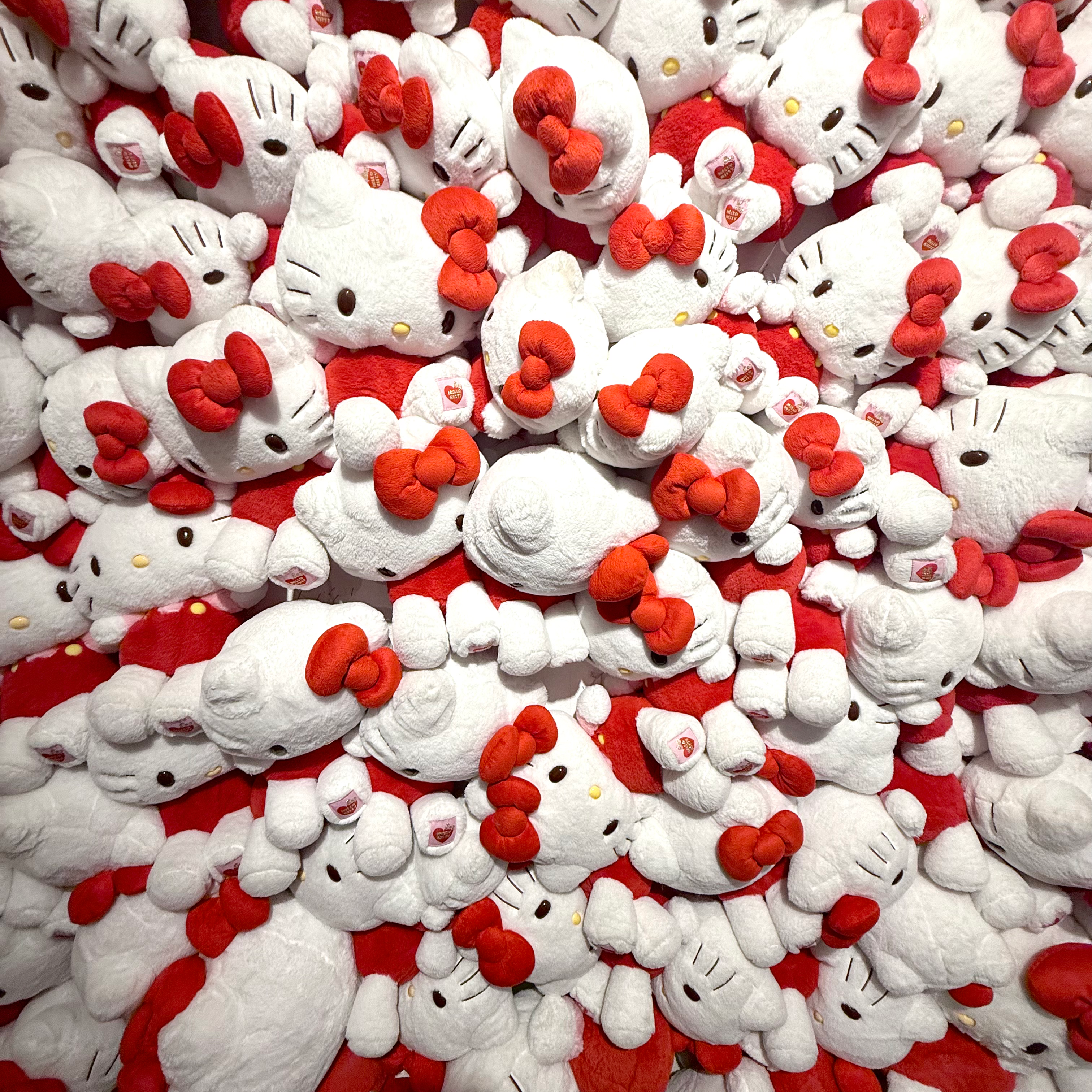 チーム友達‼️の星