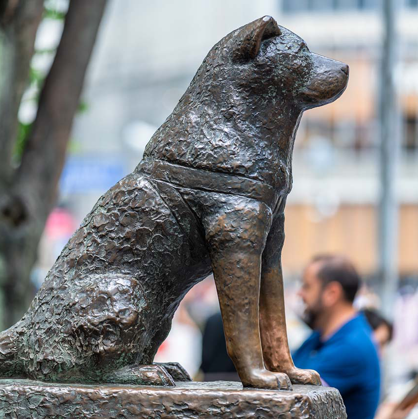 飼い主と犬の星