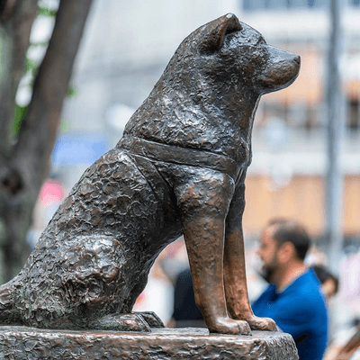 飼い主と犬の星