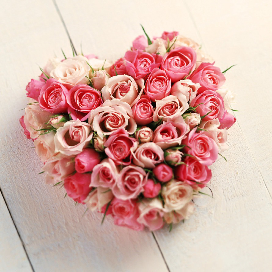 寂しさ脱退の星