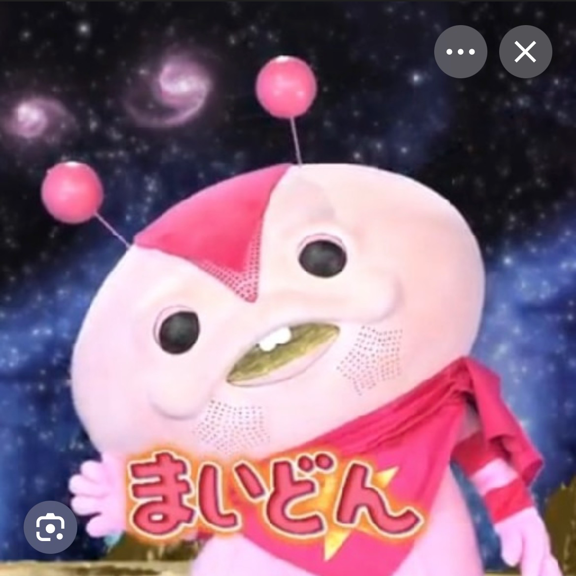 まいどんの星