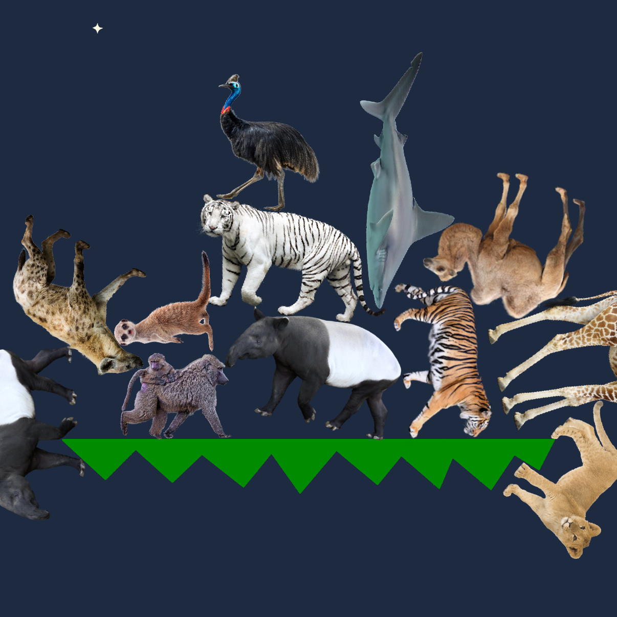 どうタワバトルの星