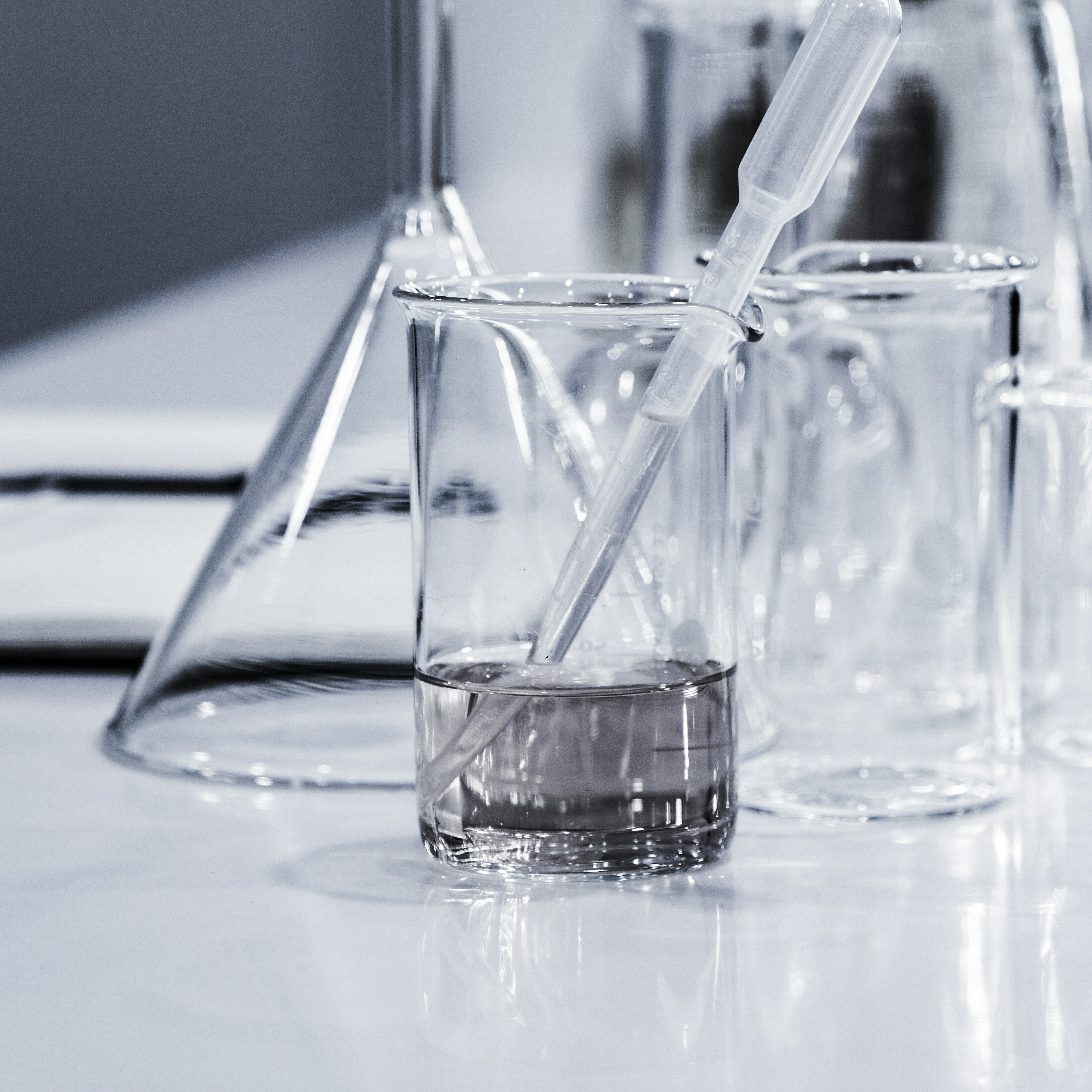 理系のための星