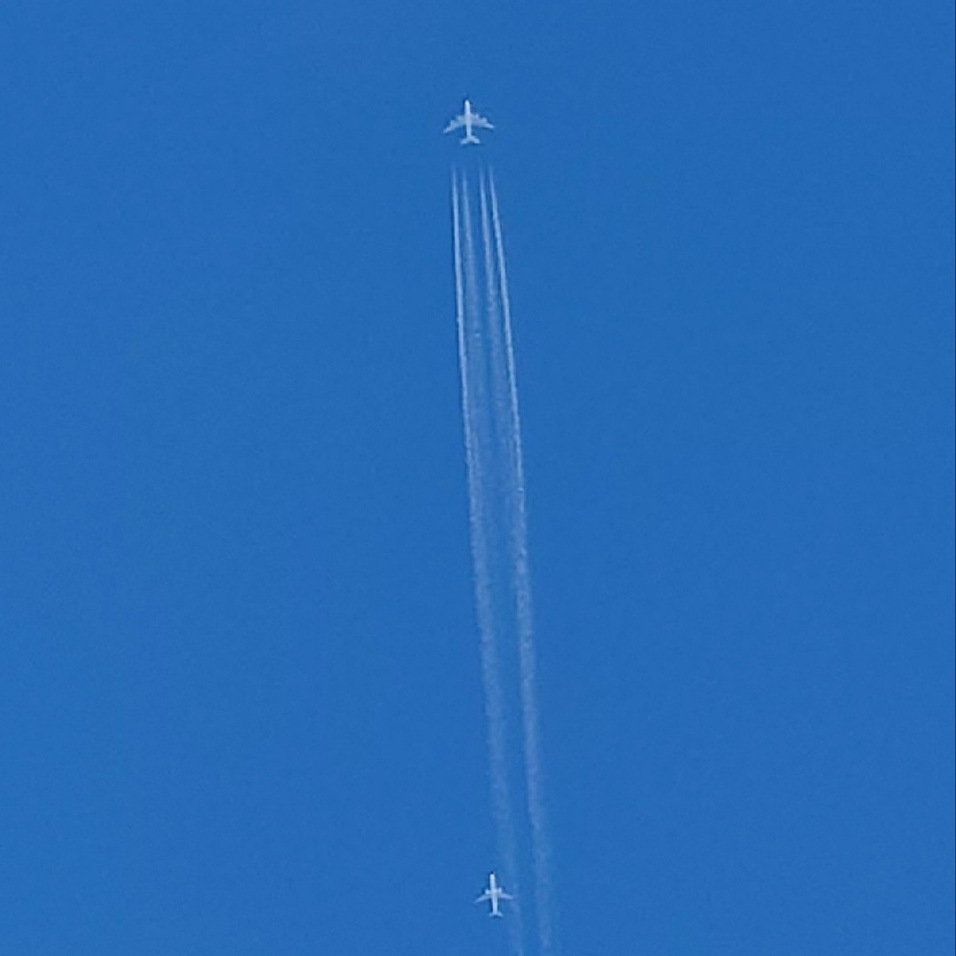 50オーバー欲求の星