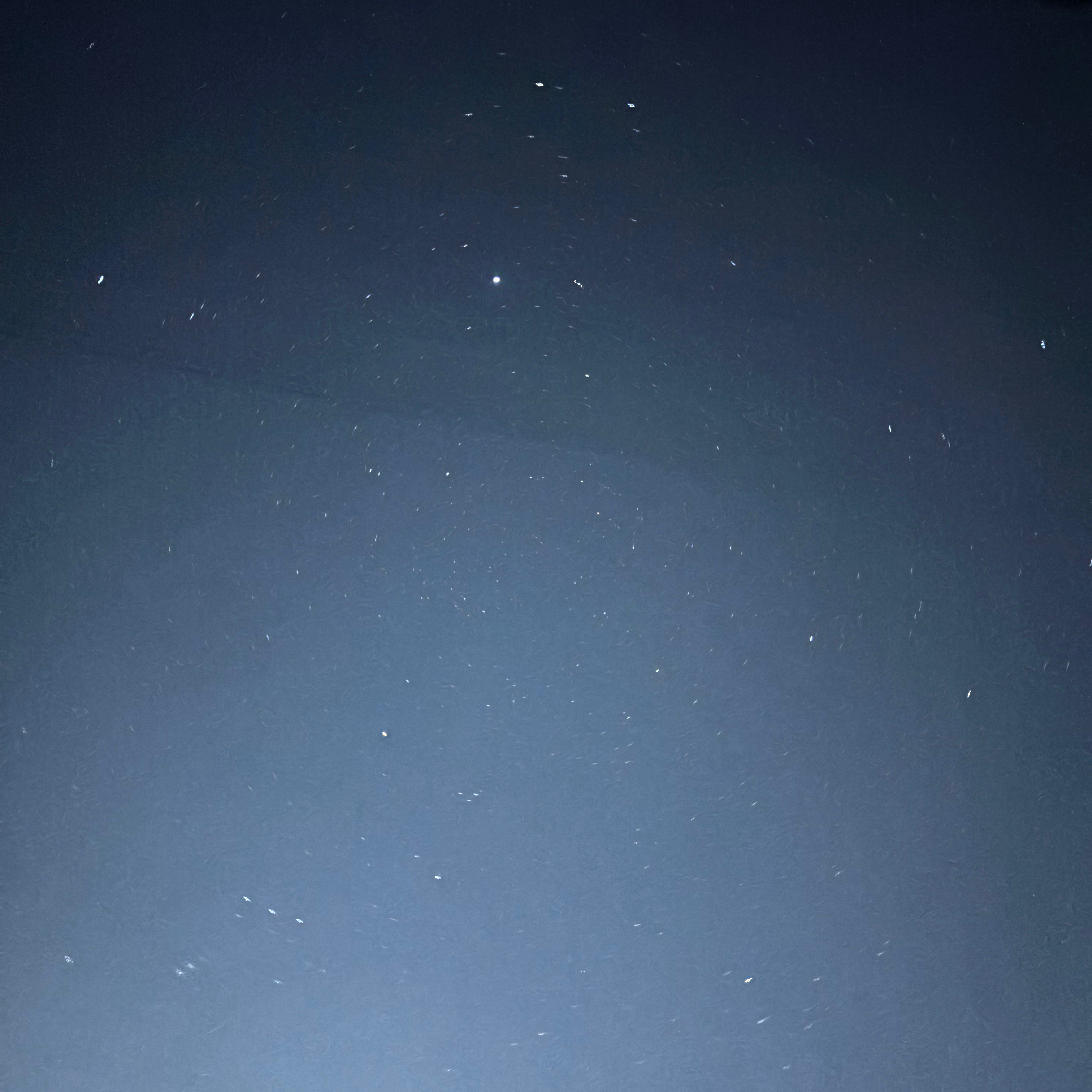 悩みをはなそうの星