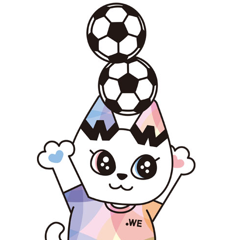 女子サッカーの星