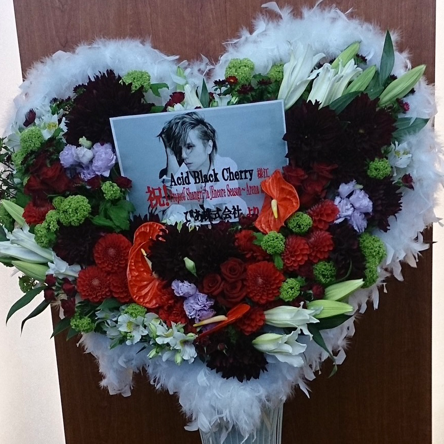 ヤス大好きの星