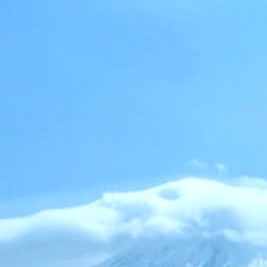 イケメン美女の星