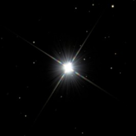 定時取締役会の星