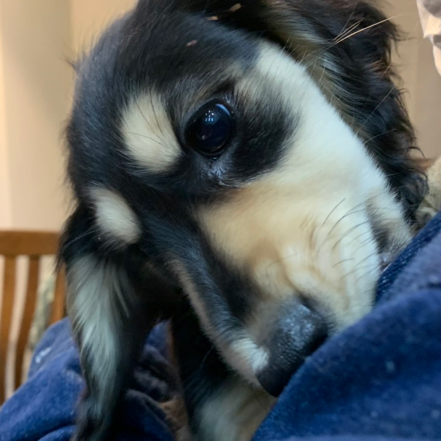 繊細&人見知りの星