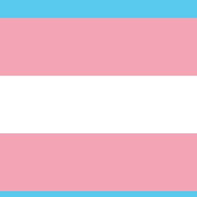 トランス＋LGBの星