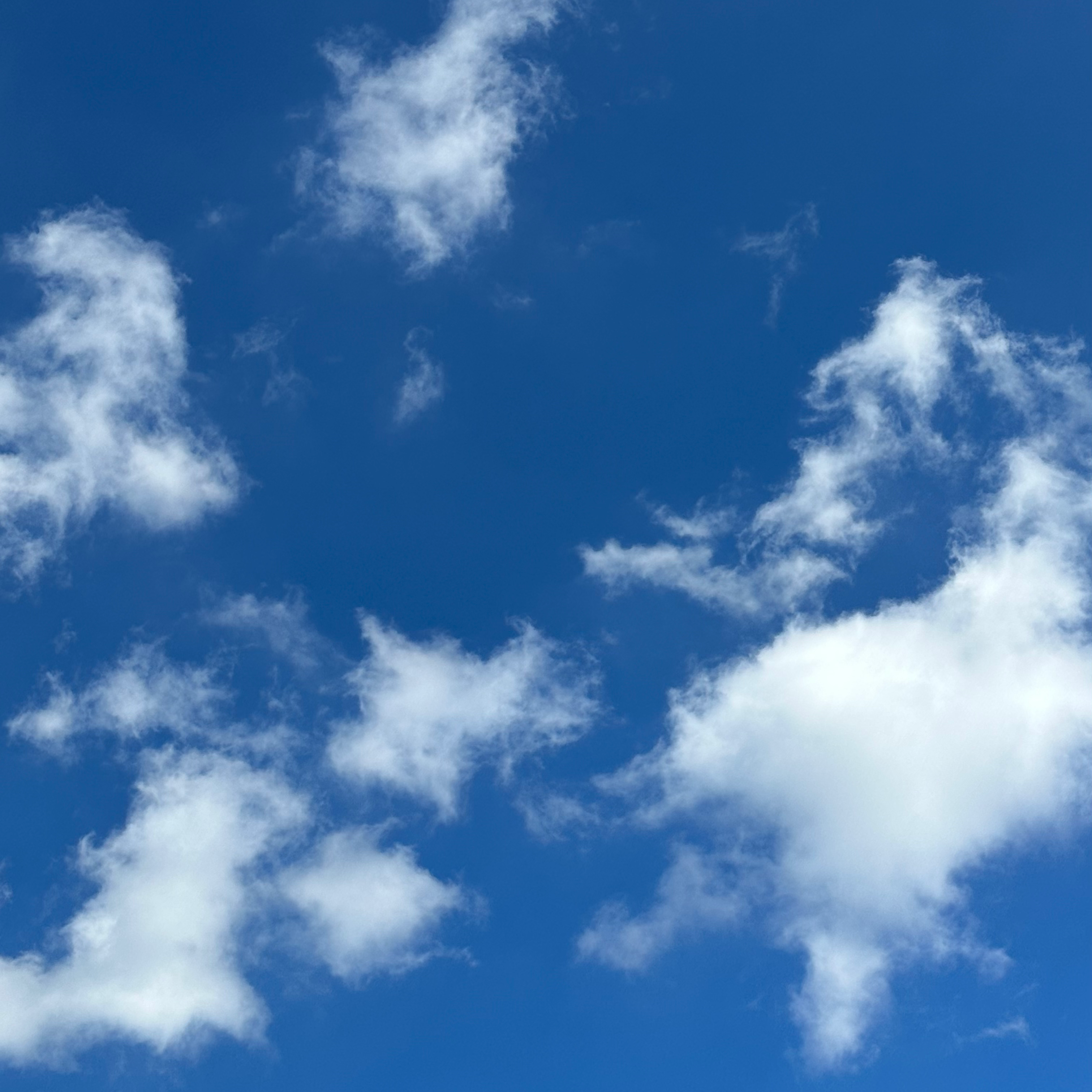 茨城県の星