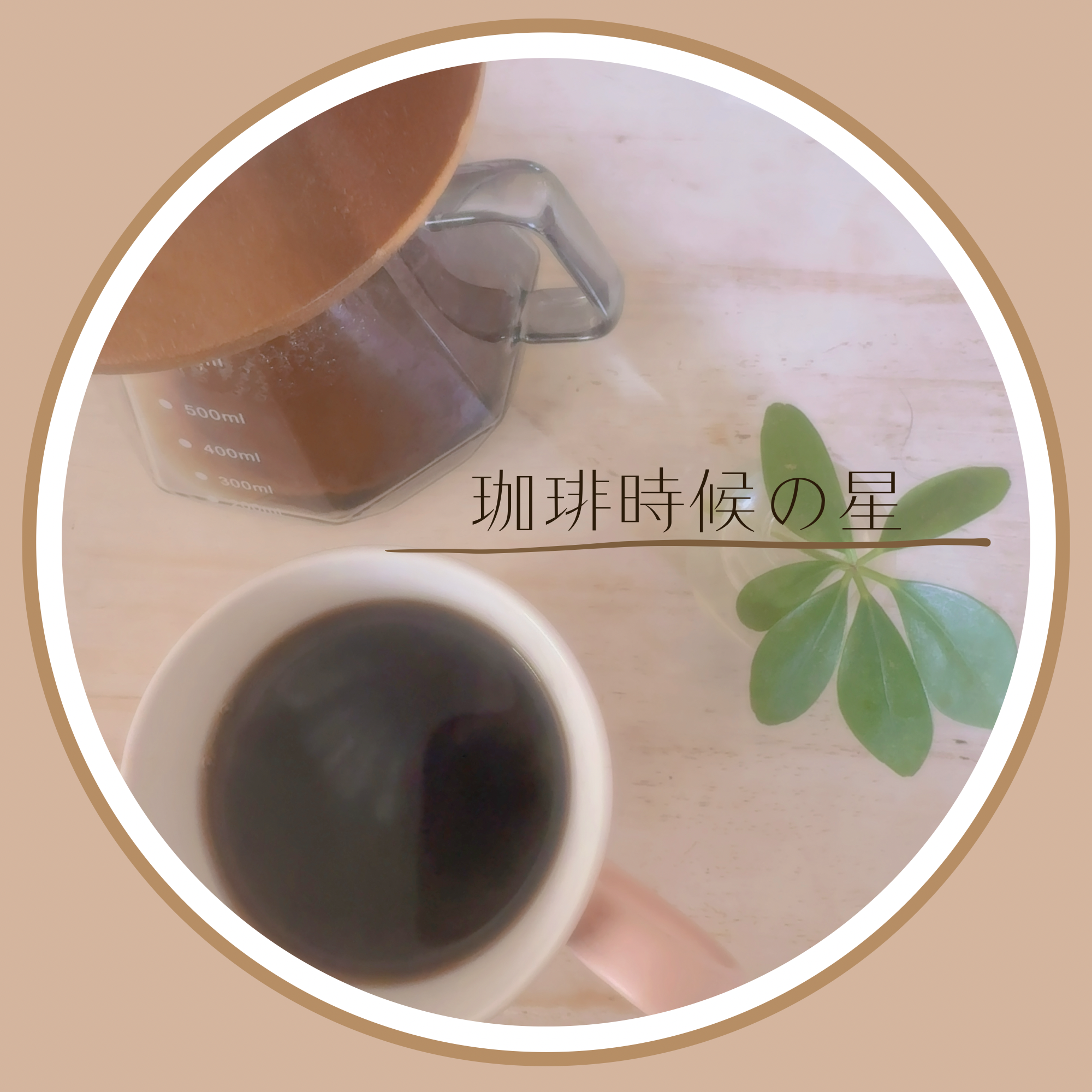 珈琲時候の星