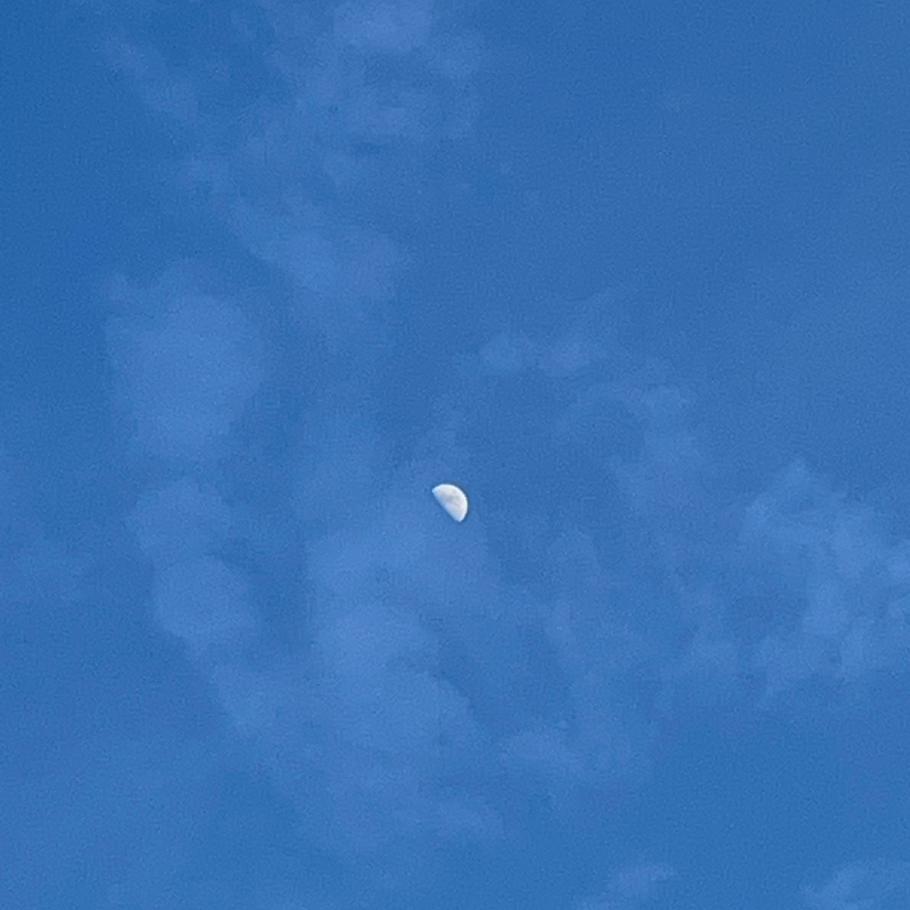 香川の輪の星