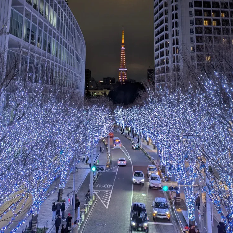 東京恋愛の星