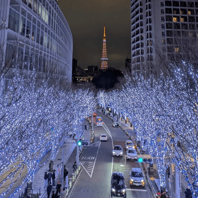 東京恋愛の星