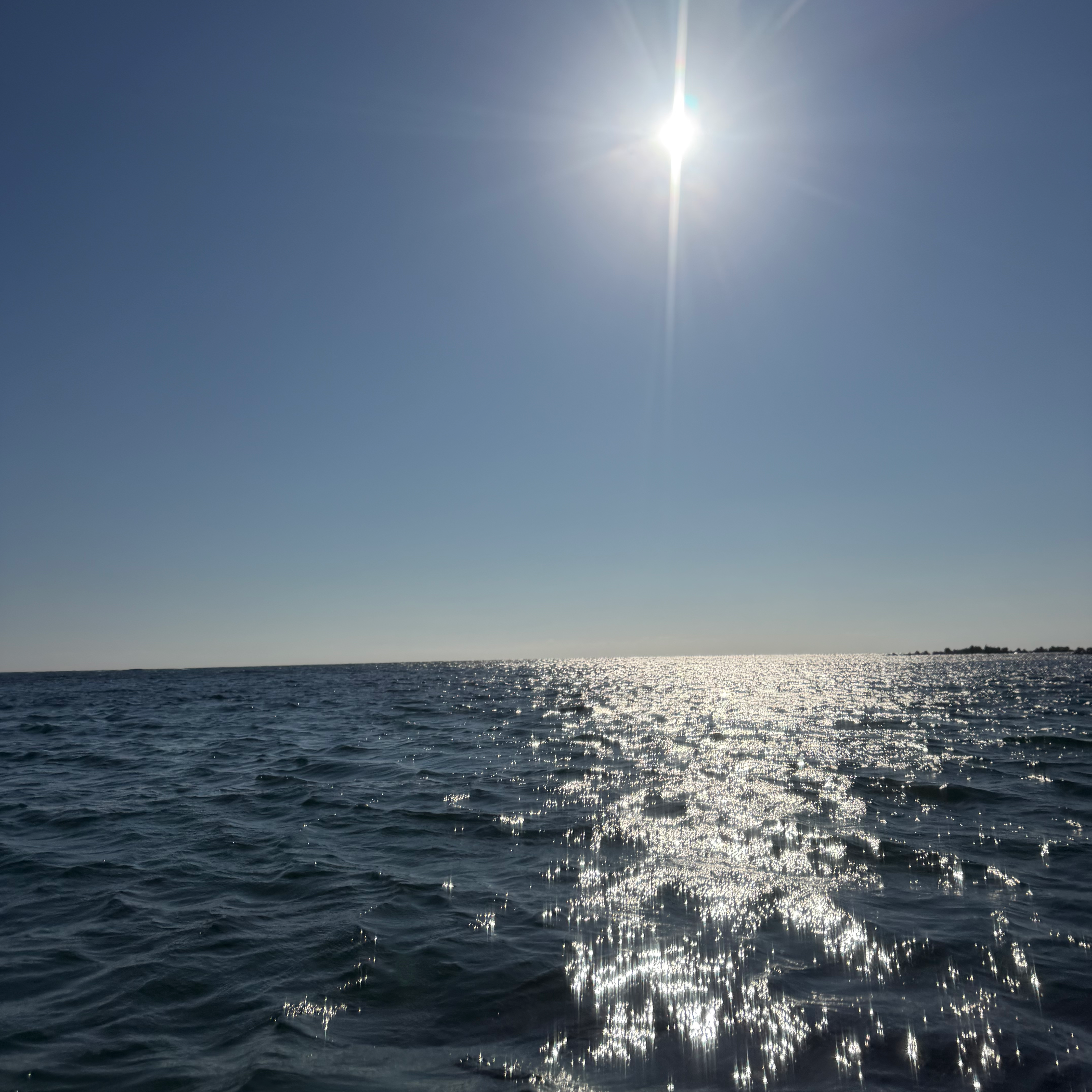 海が好き!の星